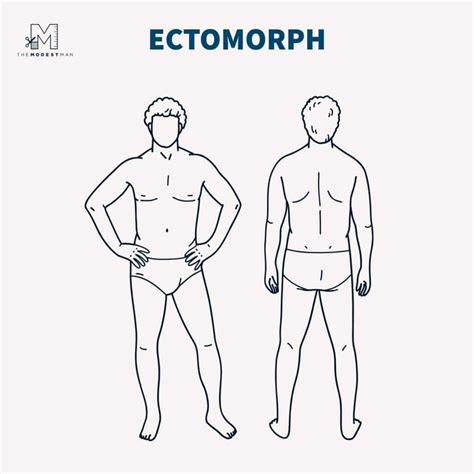 pornstars by body type|Male Ectomorph Body Type: Style and Fashion’s Go.